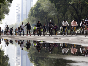 A pack of cyclists join a Sunday ride together on a city street lined by trees  in Mexico City