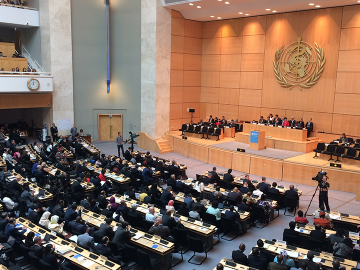 The Seventieth World Health Assembly. Image by Brian W. Simpson