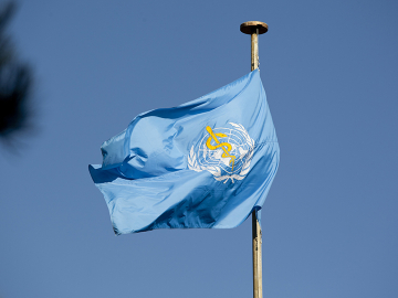 WHO Flag