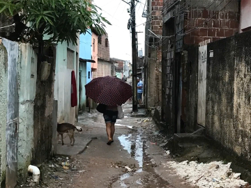 Neighborhood on the outskirts of Recife, Pernambuco