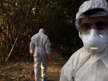 Healthcare providers leave a village after completion of a culling operation in response to a bird flu outbreak in Budgebudge, West Bengal, India.