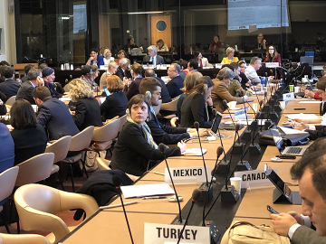 A May 21 #WHA72 side event focused on migration and health. (Image: BWS)