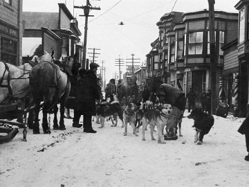 Private sector solution: A dog team delivers antitoxin during Nome, Alaska’s 1925 diphtheria outbreak. Image: Bettmann/Getty