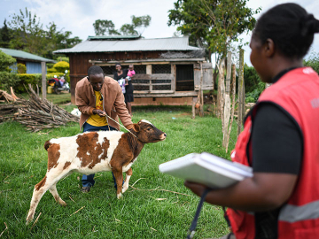 A Red Cross worker in Narok, Kenya, where an anthrax outbreak in 2019 was swiftly contained.