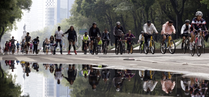 A pack of cyclists join a Sunday ride together on a city street lined by trees  in Mexico City