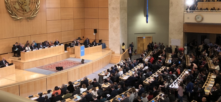 A photograph of the World Health Assembly. 