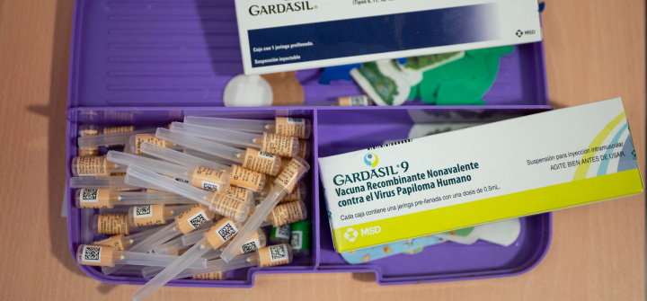 Boxes containing the Nonavalent Recombinant Human Papillomavirus vaccine.