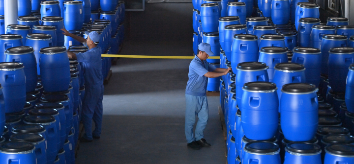 Employees transfer barrels of artemisinin at a pharmaceutical company in southern China on Aug. 27, 2024.