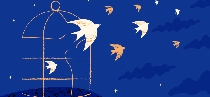 Illustrated birds escaping an birdcage at night.