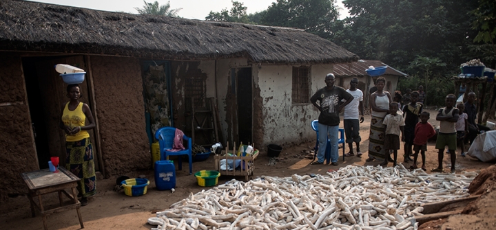 Cassava is dried and sold alongside the roads outside of Kahemba. 