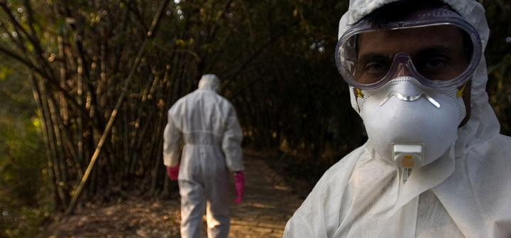 Healthcare providers leave a village after completion of a culling operation in response to a bird flu outbreak in Budgebudge, West Bengal, India. 