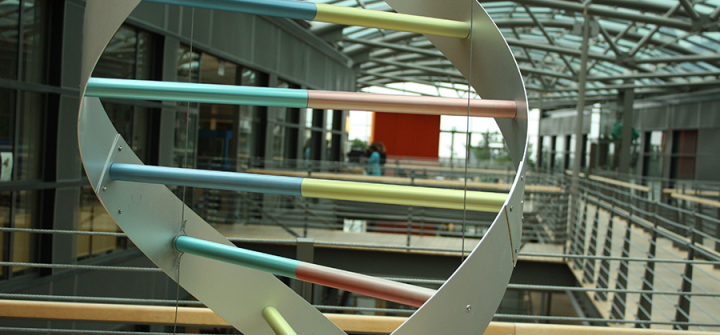 A DNA sculpture in deCODE Genetics Reykjavik headquarters. The company says it has all the information needed to accurately identify almost every single BRCA mutation carrier in Iceland. 