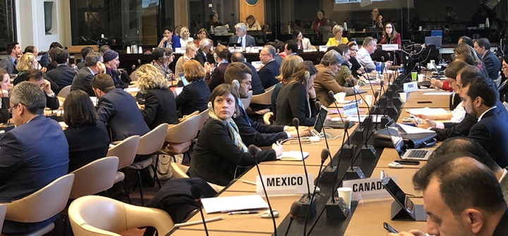 A May 21 #WHA72 side event focused on migration and health. (Image: BWS)