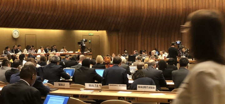#WHA72 committee members discuss polio eradication and plans for a polio-free world on May 23, 2019. (Image: BWS)