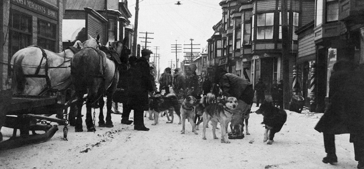 Private sector solution: A dog team delivers antitoxin during Nome, Alaska’s 1925 diphtheria outbreak. Image: Bettmann/Getty