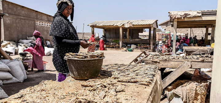 A woman arranges dried fish at the deserted fish market in Rufisque on April 9, 2020. 