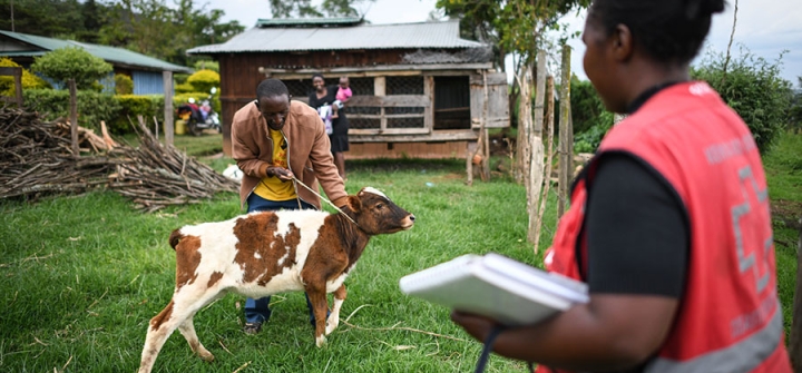 A Red Cross worker in Narok, Kenya, where an anthrax outbreak in 2019 was swiftly contained.