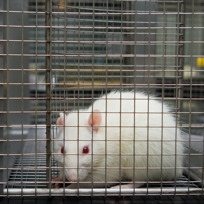 The Lab Rat: Testing 'Evidence-Based Apparel,' Clothes That Claim to Be  Medicinal