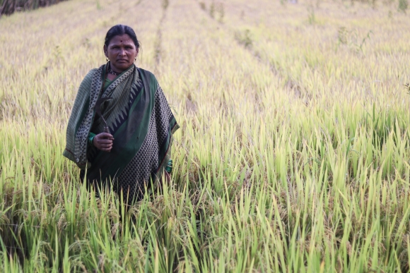 Farm worker Sunita Patil stands in a field.