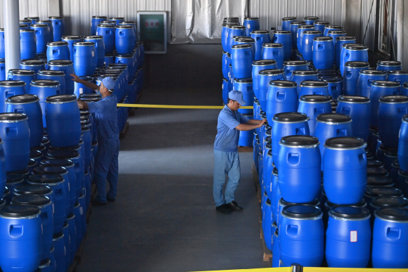 Employees transfer barrels of artemisinin at a pharmaceutical company in southern China on Aug. 27, 2024.