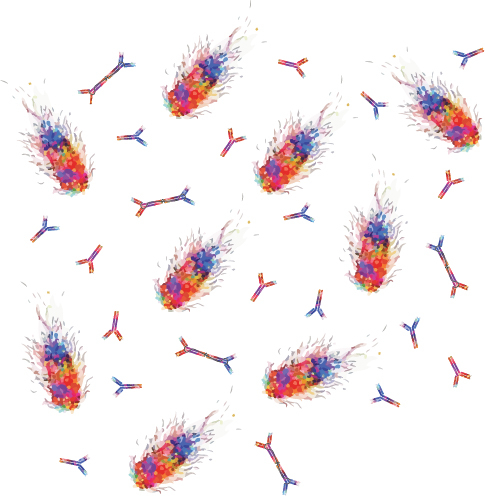 Cover art for Emma Slack's thesis: Electronic art depicting flagellated bacteria swimming between different types of antibodies.