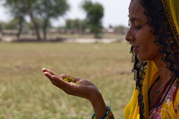 Poonam, a climate advocate in Sindh, Pakistan, worked with Pathfinder International to help families protect themselves from vector-borne diseases and ensure pregnant women prepare for climate emergencies.