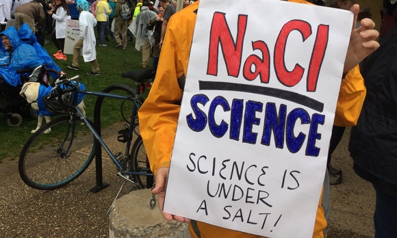 Our favorite sign from the March for Science says: Science is under a salt.