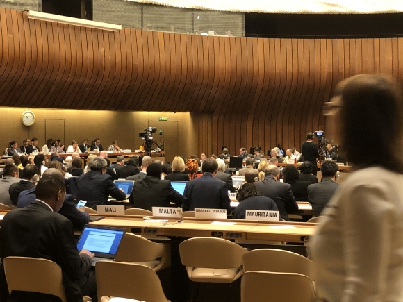 #WHA72 committee members discuss polio eradication and plans for a polio-free world on May 23, 2019. (Image: BWS)
